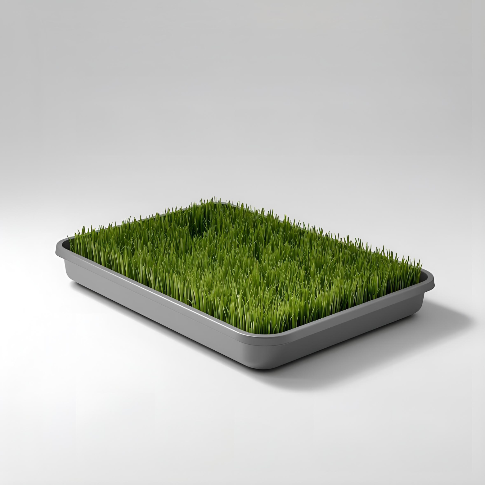 Pawsy - Gazon natural